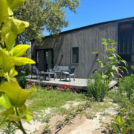 Tiny House Framed By Nature Near Sea In Karaburun Villa Izmir Bagian luar foto